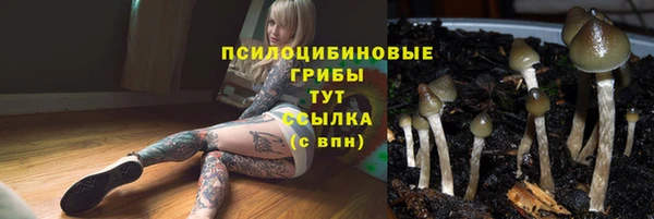 стафф Аркадак