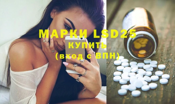 стафф Аркадак